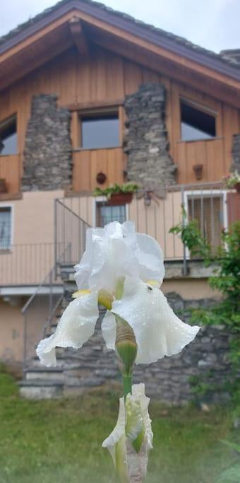 Valle D'Aosta A 360° - Ideal For Smart Working Aymavilles Buitenkant foto